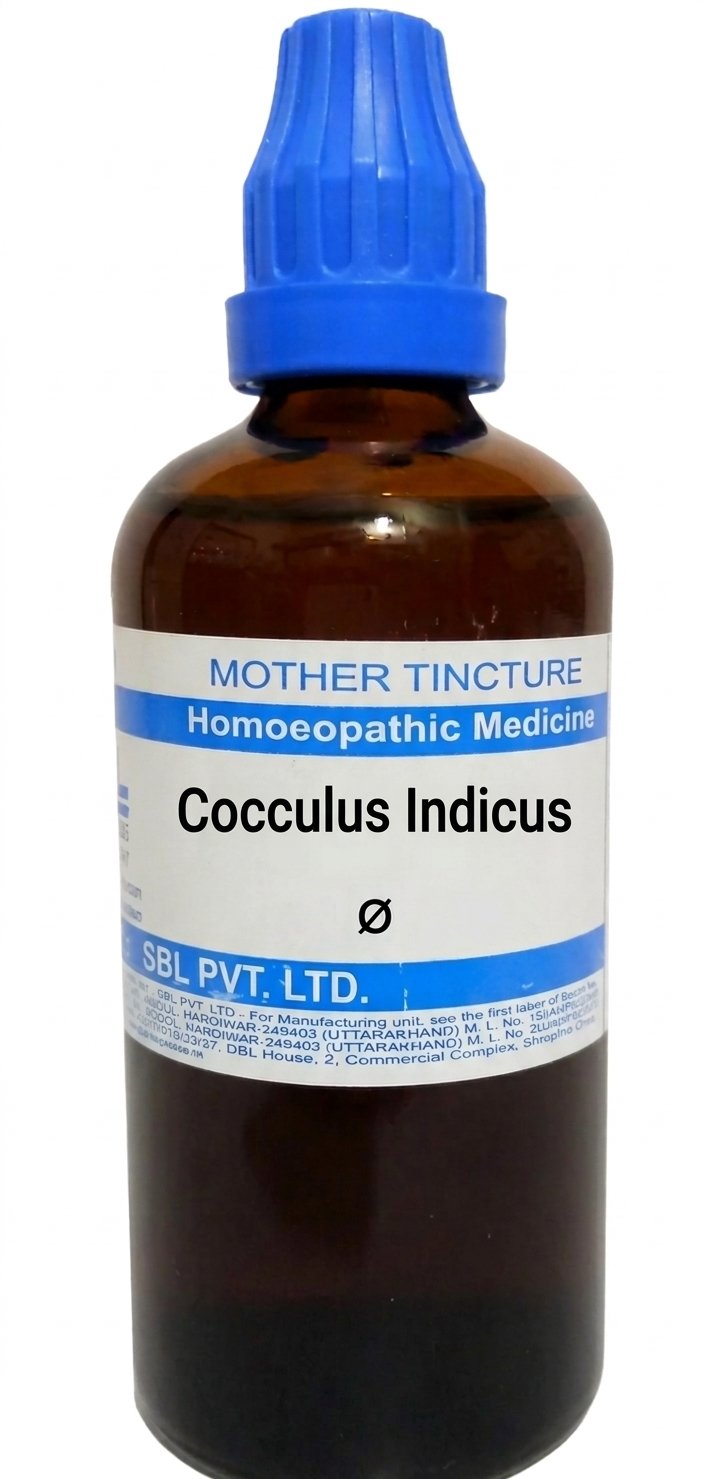 SBL Cocculus Indicus Q 100 ml for vertigo and motion sickness support