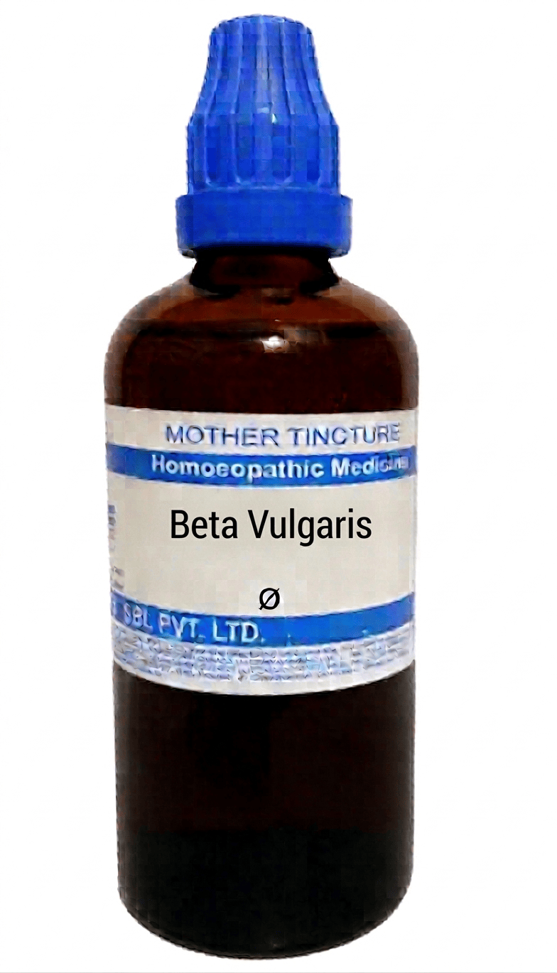 SBL Beta Vulgaris Q 100 ml for cold and chest congestion support