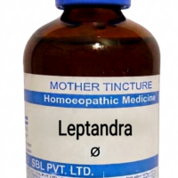 SBL Leptandra Q 100 ml for liver and digestive support