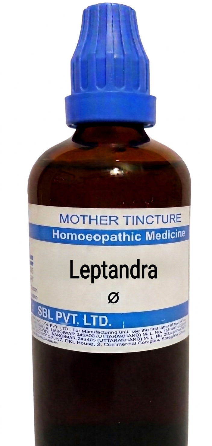 SBL Leptandra Q 100 ml for liver and digestive support