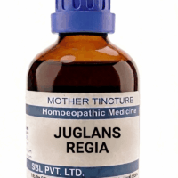 SBL Juglans Regia Q 100 ml for liver and digestive support