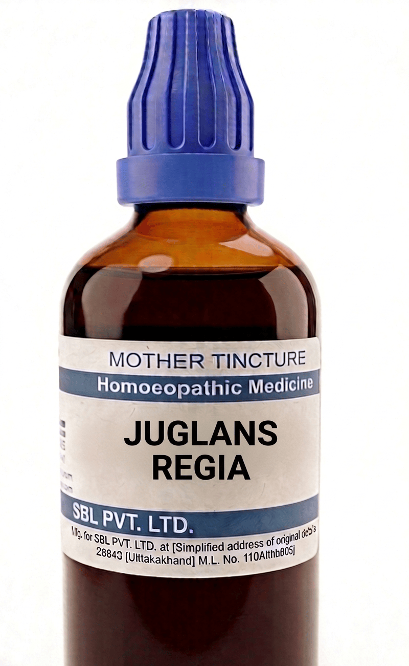 SBL Juglans Regia Q 100 ml for liver and digestive support