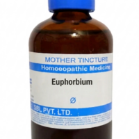 SBL Euphorbium Q 100 ml for respiratory and skin support