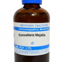SBL Convallaria Majalis Q 100 ml for heart and circulation support