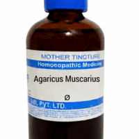 SBL Agaricus Muscarius Q 100 ml for nerve and muscle support