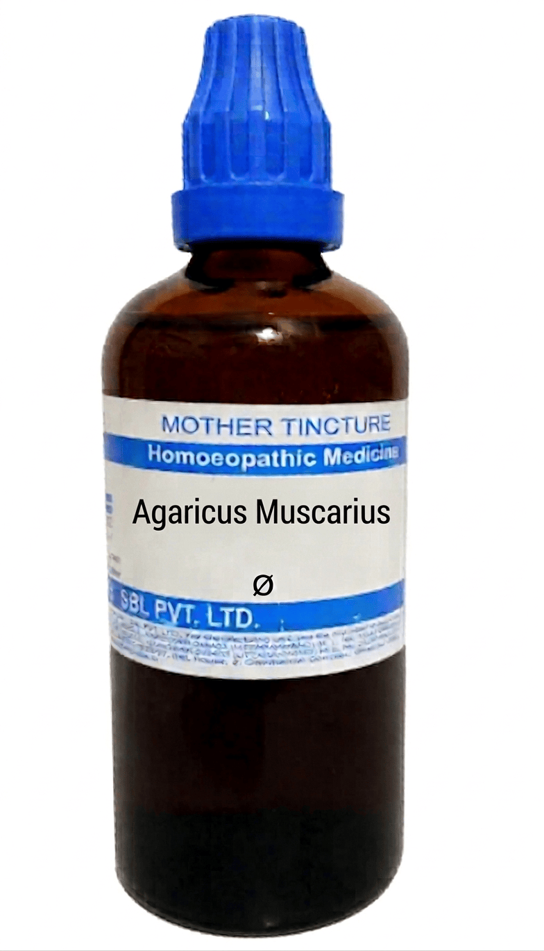 SBL Agaricus Muscarius Q 100 ml for nerve and muscle support