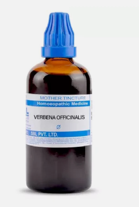SBL Verbena Officinalis Q 100 ml for digestion and nervous system support