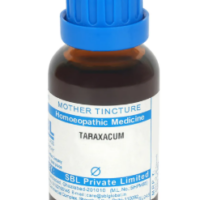 SBL Taraxacum Q 100 ml for digestion, liver, and urinary support