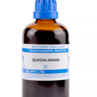 SBL Quassia Amara Q 100 ml for digestion and appetite support