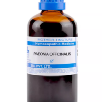 SBL Paeonia Officinalis Q 100 ml for piles and rectal pain relief
