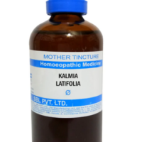 SBL Kalmia Latifolia Q 100 ml for joint pain and nerve support
