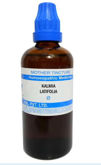 SBL Kalmia Latifolia Q 100 ml for joint pain and nerve support