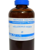 SBL Helleborus Niger Q 100 ml for mental clarity and nerve support