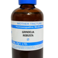 SBL Grindelia Robusta Q 100 ml for respiratory and skin support