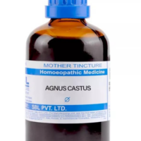 SBL Agnus Castus Q 100 ml for energy and mental wellness