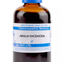 SBL Aralia Racemosa Q 100 ml for respiratory and asthma support