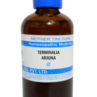 SBL Terminalia Arjuna Q 100 ml for heart health and energy support