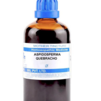 SBL Aspidosperma Quebracho Q 100 ml for asthma and breathing support
