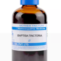 SBL Baptisia Tinctoria Q 100 ml for fever and immunity support