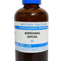 SBL Boerhaavia Diffusa Q 100 ml for liver and urinary support