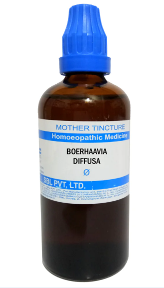 SBL Boerhaavia Diffusa Q 100 ml for liver and urinary support