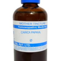 SBL Carica Papaya Q 100 ml for digestion and immunity support