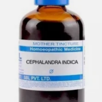 SBL Cephalandra Indica Q 100 ml for liver health and digestive support