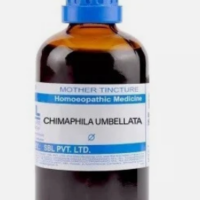 SBL Chimaphila Umbellata Q 100 ml for urinary health and headache relief