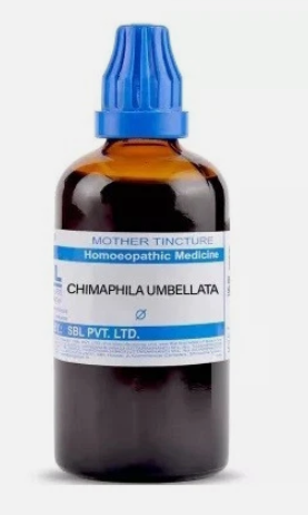 SBL Chimaphila Umbellata Q 100 ml for urinary health and headache relief