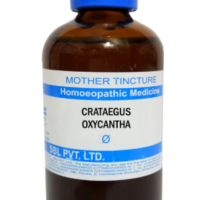 SBL Crataegus Oxyacantha Q 100 ml for heart health and blood pressure support