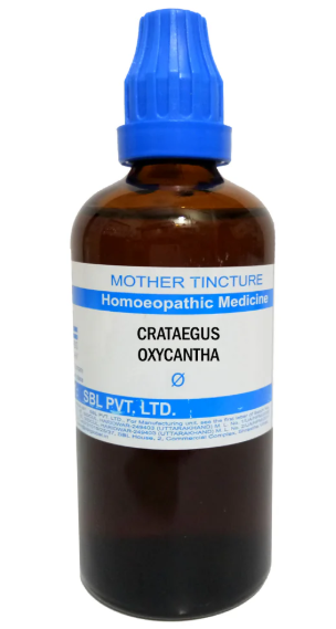 SBL Crataegus Oxyacantha Q 100 ml for heart health and blood pressure support