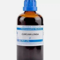 SBL Curcuma Longa Q 100 ml for liver and skin support