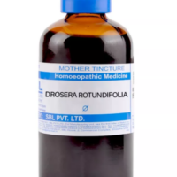 SBL Drosera Rotundifolia Q 100 ml for cough and throat support
