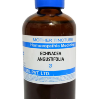 SBL Echinacea Angustifolia Q 100 ml for immunity and infection support