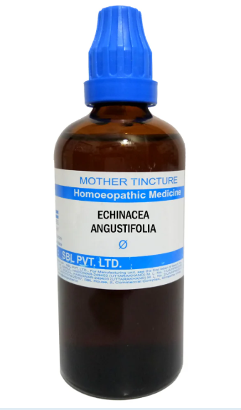 SBL Echinacea Angustifolia Q 100 ml for immunity and infection support