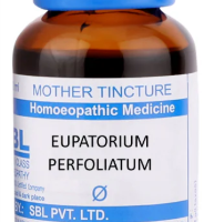 SBL Eupatorium Perfoliatum Q 100 ml for body pain and fever relief
