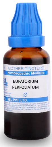 SBL Eupatorium Perfoliatum Q 100 ml for body pain and fever relief