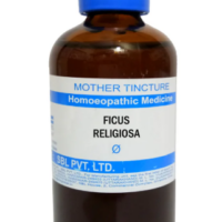SBL Ficus Religiosa Q 100 ml for abdominal and respiratory support