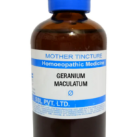 SBL Geranium Maculatum Q 100 ml for bleeding and digestive support