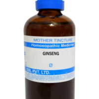 SBL Ginseng Q 100 ml for energy and immunity support