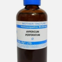 SBL Hypericum Perforatum Q 100 ml for nerve pain and sensitivity support