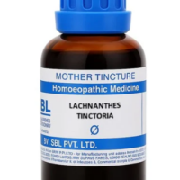 SBL Lachnanthes Tinctoria Q 100 ml for neck stiffness and muscle relief