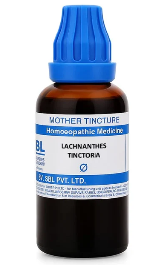 SBL Lachnanthes Tinctoria Q 100 ml for neck stiffness and muscle relief