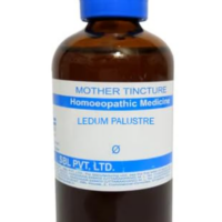 SBL Ledum Palustre Q 100 ml for wound healing and bite relief