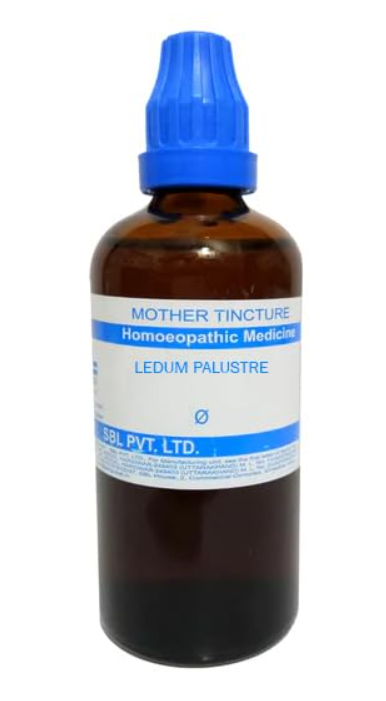 SBL Ledum Palustre Q 100 ml for wound healing and bite relief