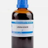 SBL Lemna Minor Q 100 ml for nasal blockage and sinus relief