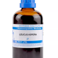SBL Leucas Aspera Q 100 ml for immunity and digestion support