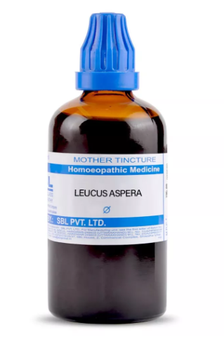 SBL Leucas Aspera Q 100 ml for immunity and digestion support