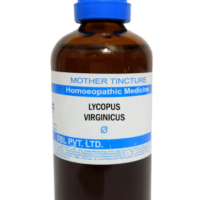 SBL Lycopus Virginicus Q 100 ml for heart and circulation support