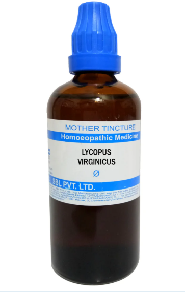 SBL Lycopus Virginicus Q 100 ml for heart and circulation support